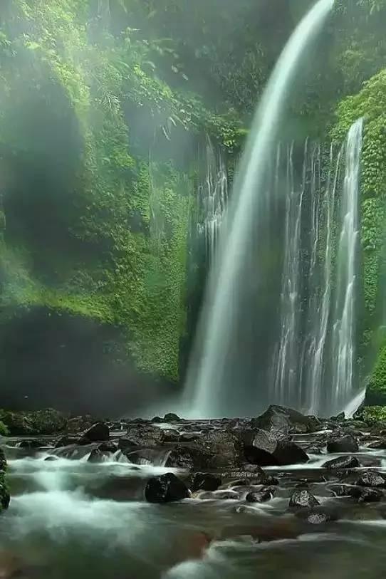 笑脸球的冒险之旅