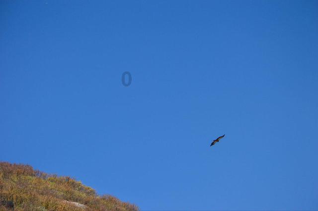悟空疾驰