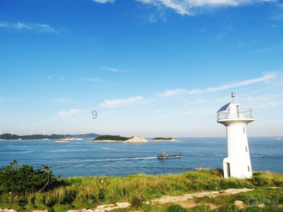 放飞笼中鸟