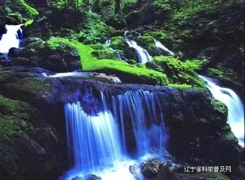 吞噬星空：为什么罗峰不敢将金角巨兽暴露给地球人知道？原因有两