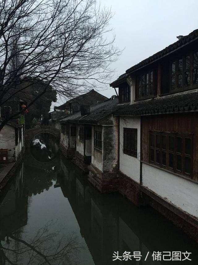 逃离诡异之林